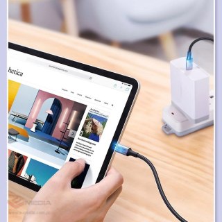 Kabel Ugreen US316 70427 USB-C - USB-C PD QC FCP 100W 5A 480Mb/s 1m - szary