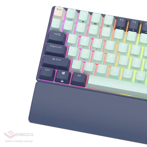 Klawiatura mechaniczna Royal Kludge RK96 RGB, brown switch (niebieska) (QWERTY)