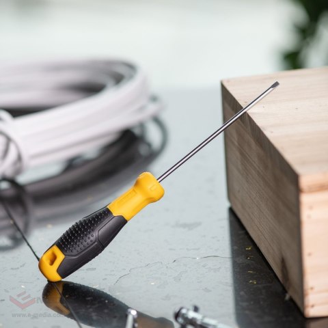 Wkrętak płaski DELI TOOLS EDL6331001 3x100mm (żółty)