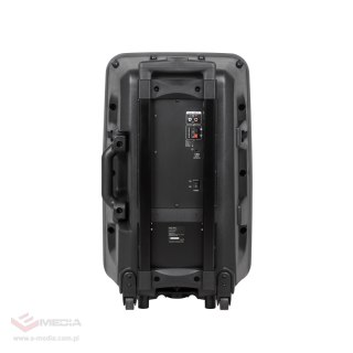 Kolumna aktywna ( z 2 mikrofonami bezprzewodowymi, SD, Bluetooth, USB) 12" 40W