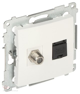 GNIAZDO KOŃCOWE DASFRJ45.01/11-SIMON54 TYP F + RJ45