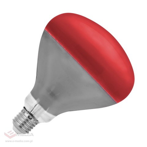 Lampa na podczerwień Rebel R125, 250W, 220-240V