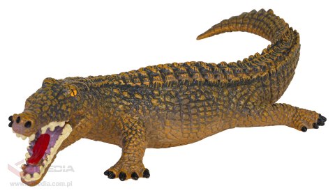 Zestaw Zwierząt 18el. Safari