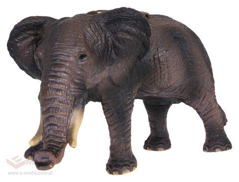 Zestaw Zwierząt 18el. Safari