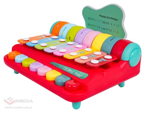 Cymbałki dla Najmłodszych