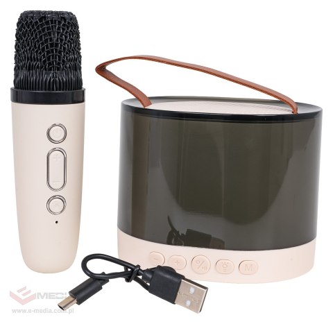 Zestaw Karaoke Mikrofon + Podświetlany Głośnik