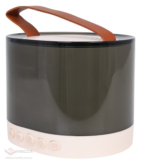 Zestaw Karaoke Mikrofon + Podświetlany Głośnik