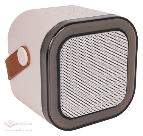 Zestaw Karaoke Mikrofon i Głośnik