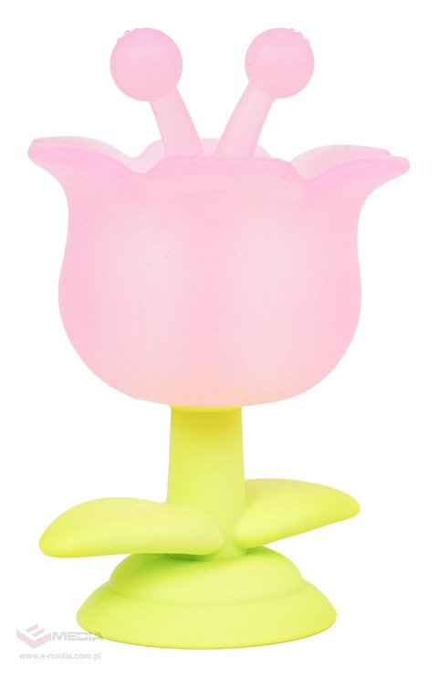 Gryzak Kwiatek Różowy + Opakowanie