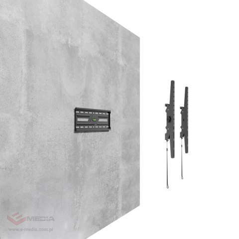 Uchwyt Basic do ściany 32-75 cali czarny LCD/KL-38