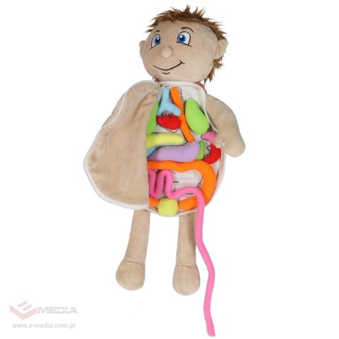 Lalka maskotka nauka anatomii chłopiec