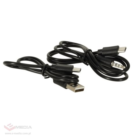 Mikrofon bezprzewodowy karaoke dla dzieci głośnik Bluetooth 2000mAh karta SD USB wysoka jakość złoty