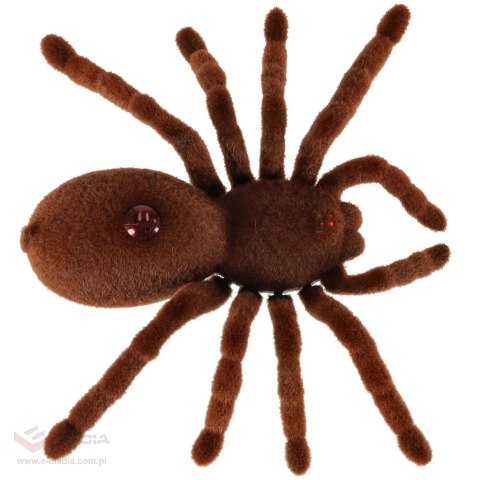 Pająk TARANTULA Zdalnie Sterowany robot + PILOT