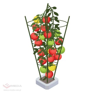 PLANT SUPPORT 50CM