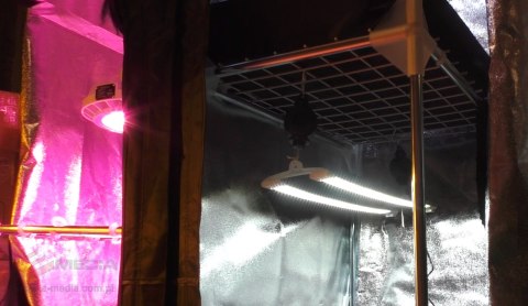 SECRET JARDIN COSMORROW ZASILACZ DO LED 2*40W