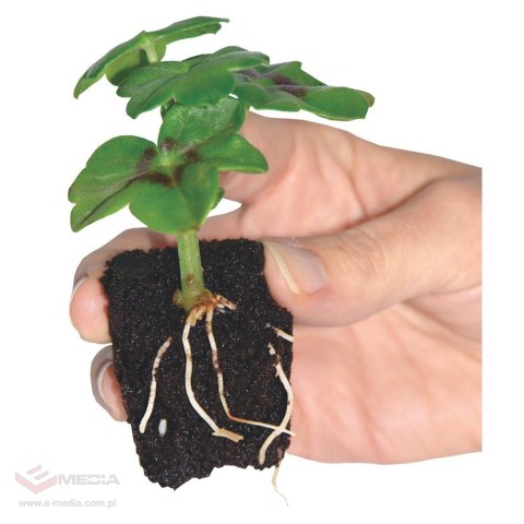 ROOT!T FIRST FEED 250ML