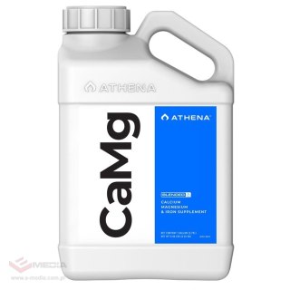 ATHENA CAMG PŁYN 19L