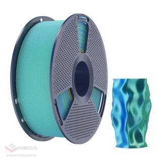 Filament SUNLU PLA+ Silk Dual Color 1.75mm 1kg (niebiesko-zielony)