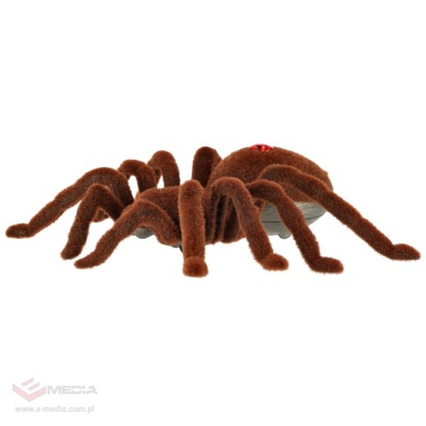 Pająk TARANTULA Zdalnie Sterowany robot + PILOT