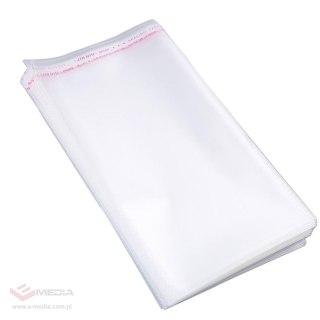 WORECZKI TOREBKI CELOFANOWE CELOFAN FOLIOWE BG OPP ZAKLEJANE 28x30 100 szt