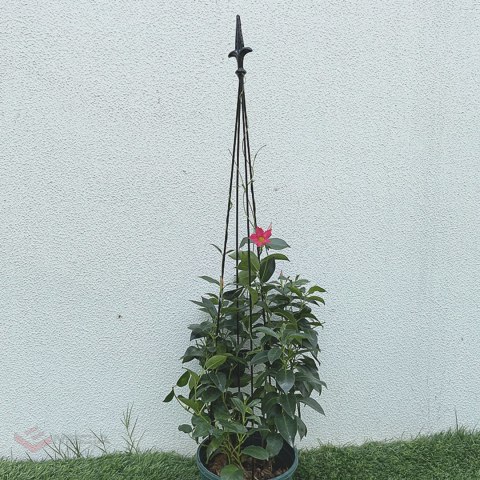 12x Podpora Pergola Ogrodowa Tarasowa na KWiaty Stojak Metalowy Roślin 150 cm