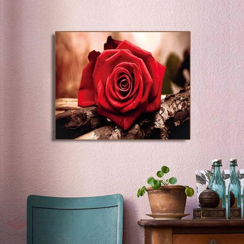 Diamond Painting Haft Diamentowy Mozaika Zestaw 5D Płótno Rama 20X30