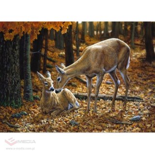 Diamond Painting Haft Diamentowy Mozaika Zestaw 5D Płótno Rama 30X40