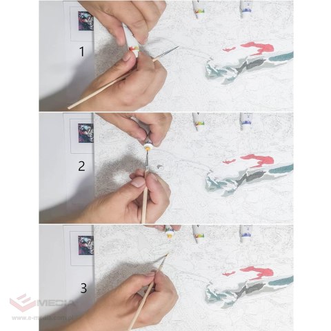 MALOWANIE PO NUMERACH OBRAZ Z RAMĄ DIY ZESTAW PĘDZLE FARBY PŁÓTNO 20x20
