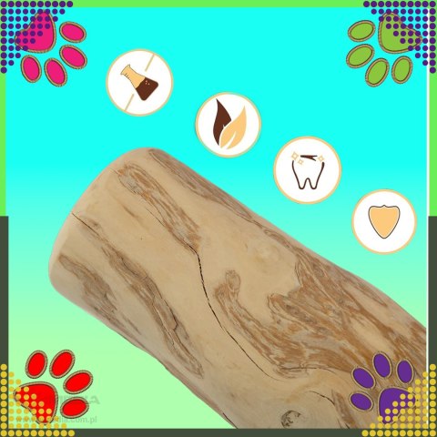 Patyk Gryzak z Drzewa Drewna Naturalny dla Psa Wytrzymały Zabawka 20x3,5cm