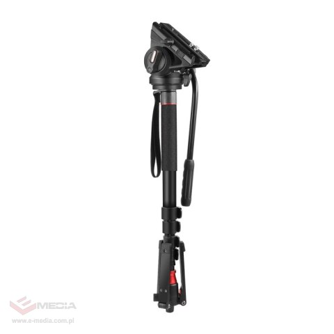 Statyw NEEWER GM76 179cm