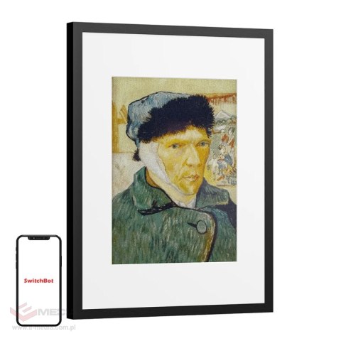 Ramka cyfrowa SwitchBot AI Art Frame 13,3"