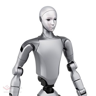 Robot humanoidalny UNITREE H2 Edu
