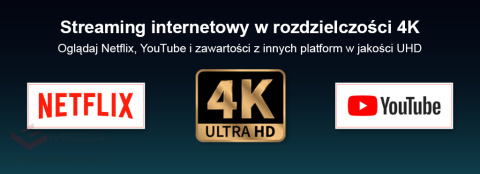 Android SMART TV + DVB-T2/C HEVC Homatics Box R 4K Android 11 WiFi with certification Google and Netflix