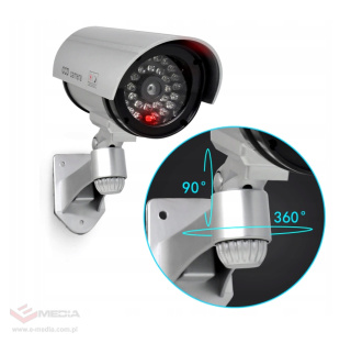 Dummy tube monitoring camera, silver