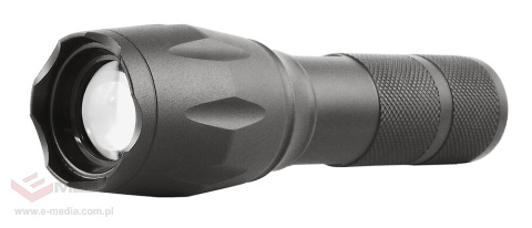 Set everActive FL-600 LED-Lampen mit Halterung + everActive TL-X2