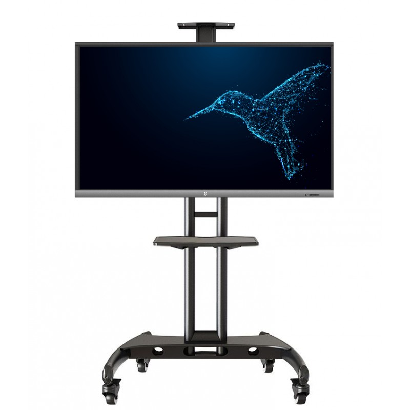 Interactive Displays/Whiteboards